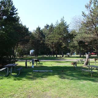 Twin Harbors State Park Campground