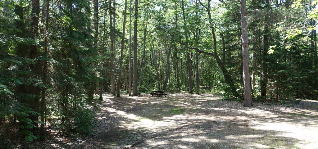 Photo of DeTour State Forest Campground