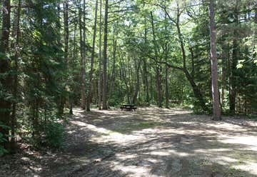 Photo of DeTour State Forest Campground