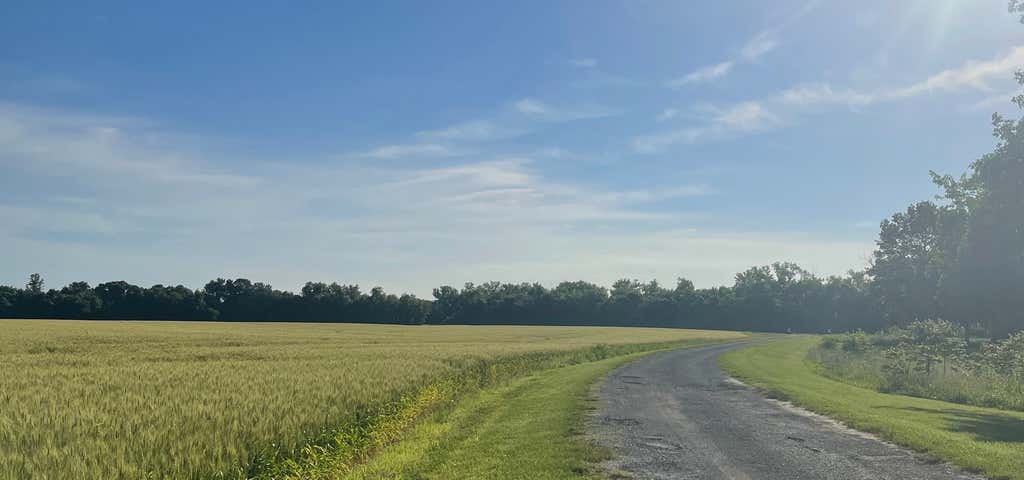 Photo of Horseshoe Lake State Recreation Area