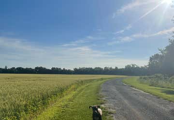 Photo of Horseshoe Lake State Recreation Area