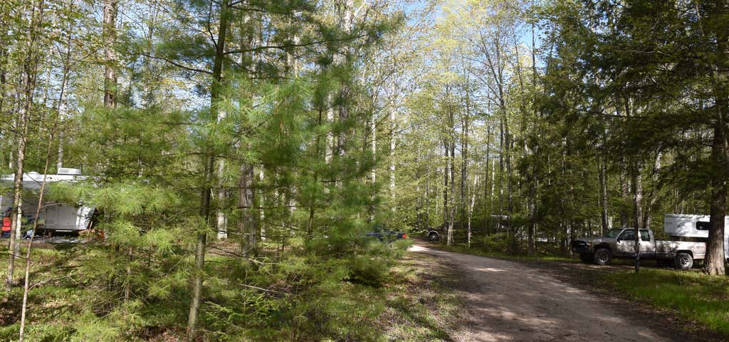 Photo of Cedar River North State Forest Campground