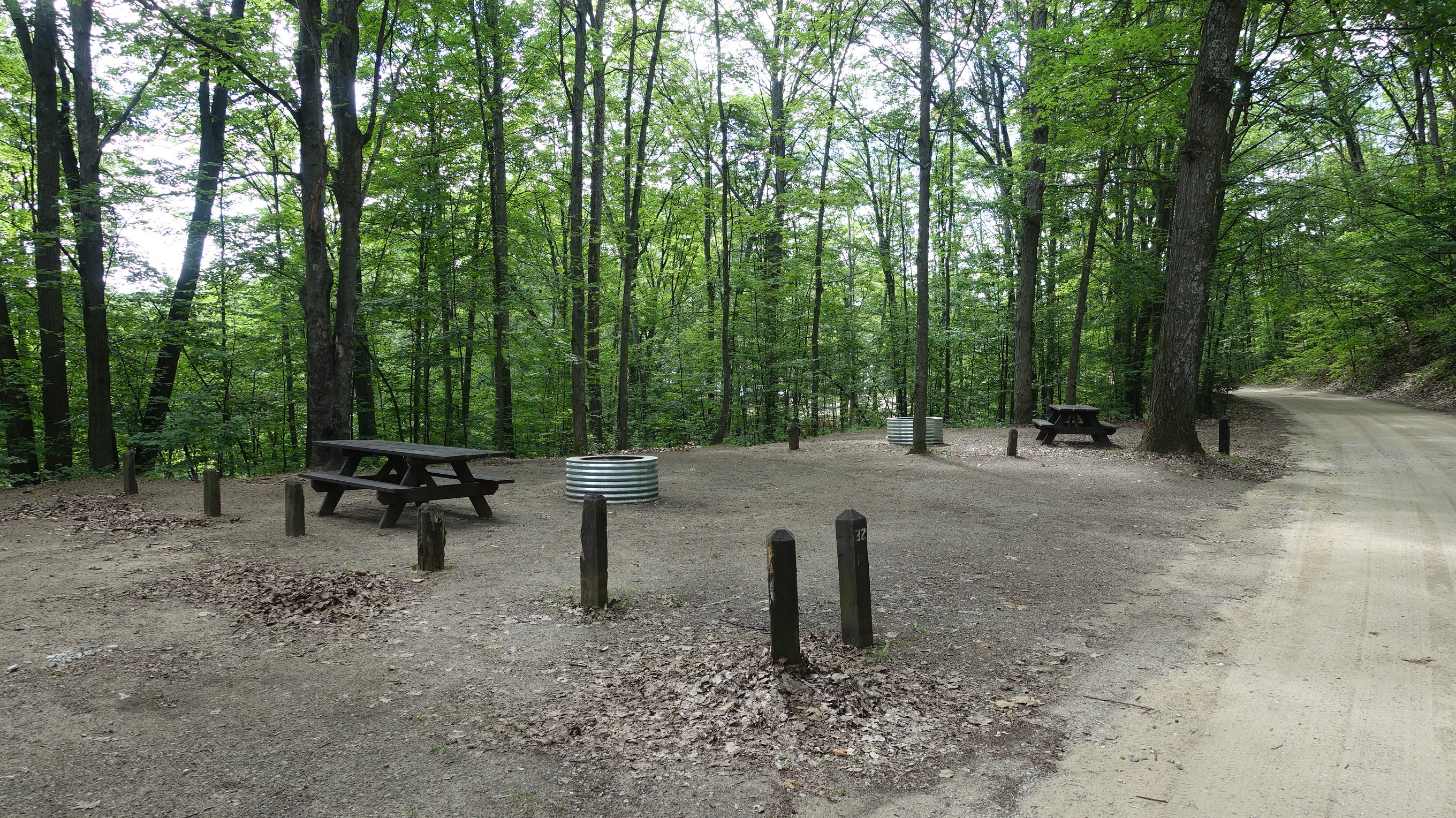 Arbutus Lake State Forest Campground