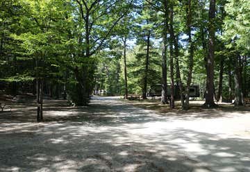 Photo of Hoeft-Modern State Park