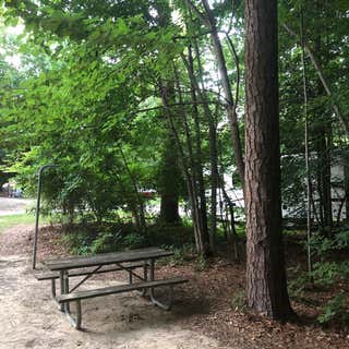 Chippokes Plantation State Park Campground
