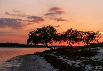 Photo of Curry Hammock State Park