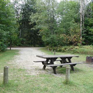 Haakwood State Forest Campground