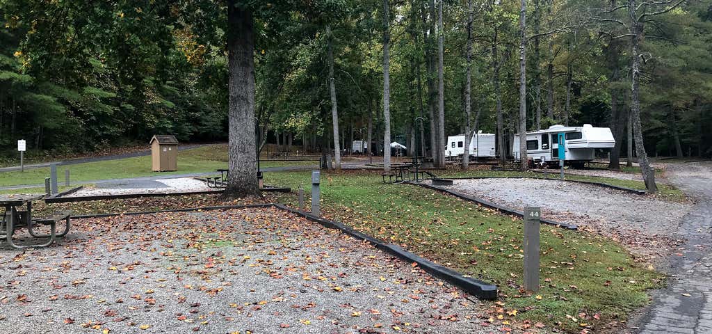 Photo of Salthouse Branch Campground