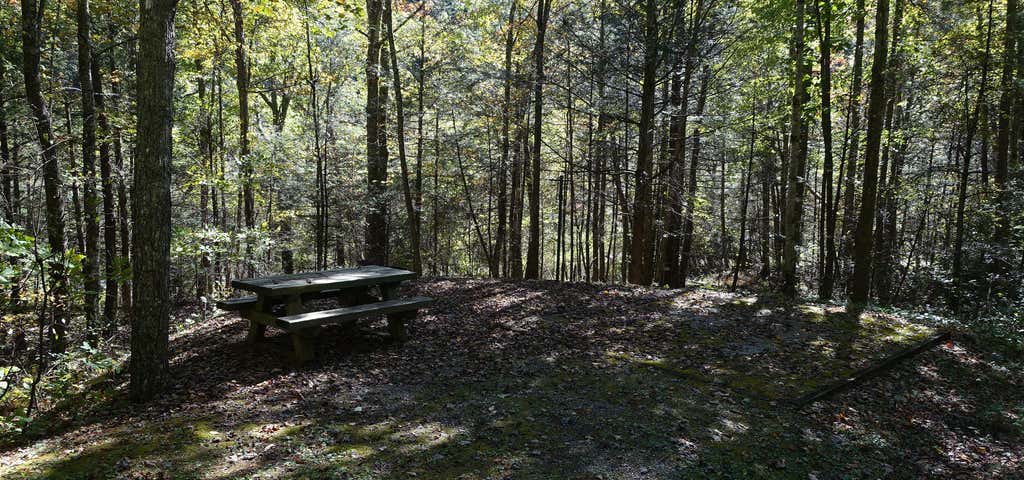 Photo of Raven Cliff Campground