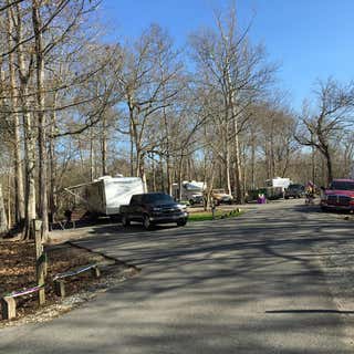 Lake Fausse Pointe State Park