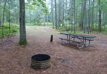 Photo of Big Knob State Forest Campground