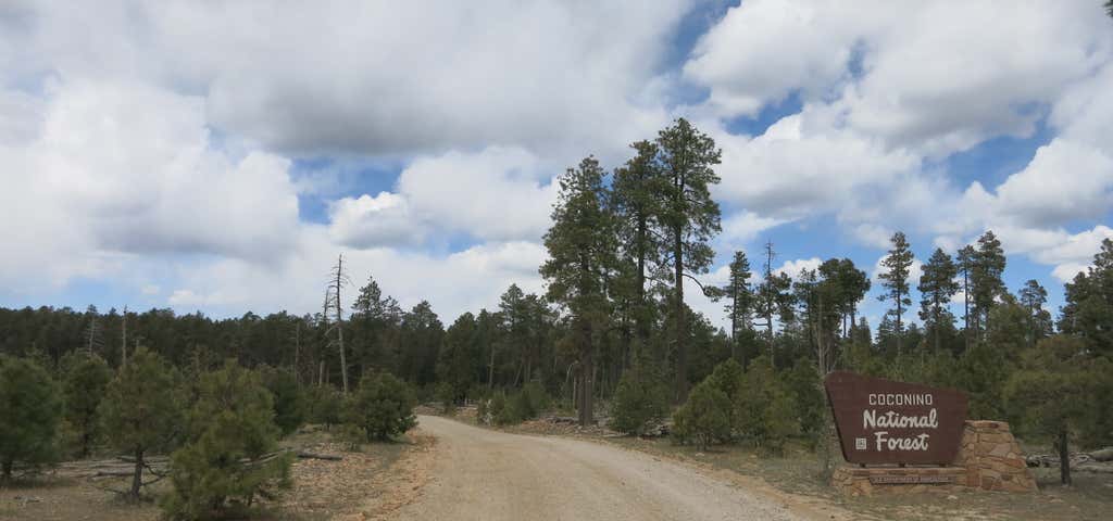 Photo of Knoll Lake Campground