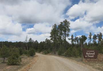 Photo of Knoll Lake Campground