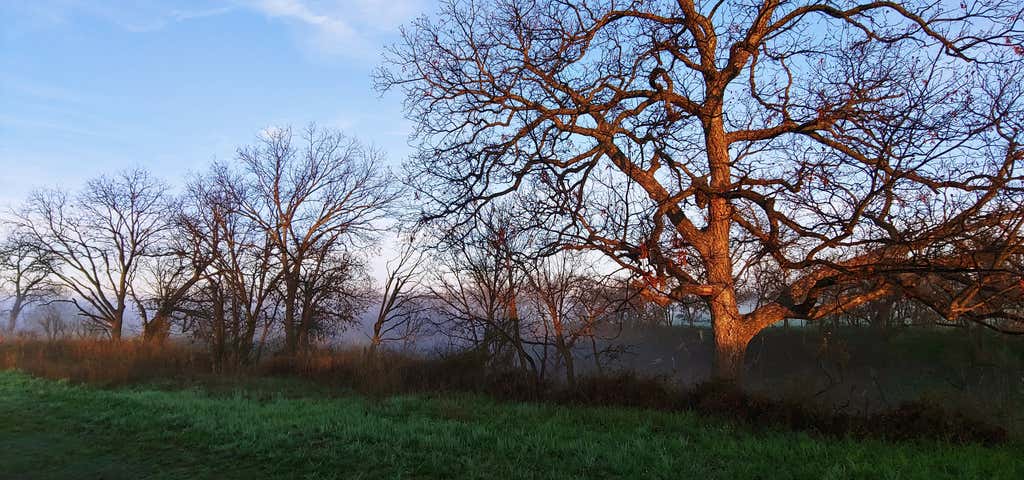 Bald Eagle State Park Campground, San Angelo | Roadtrippers