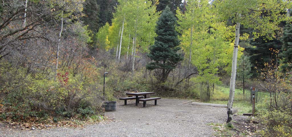 Photo of Amphitheater Campground