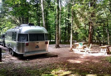 Photo of Seven Points Campground