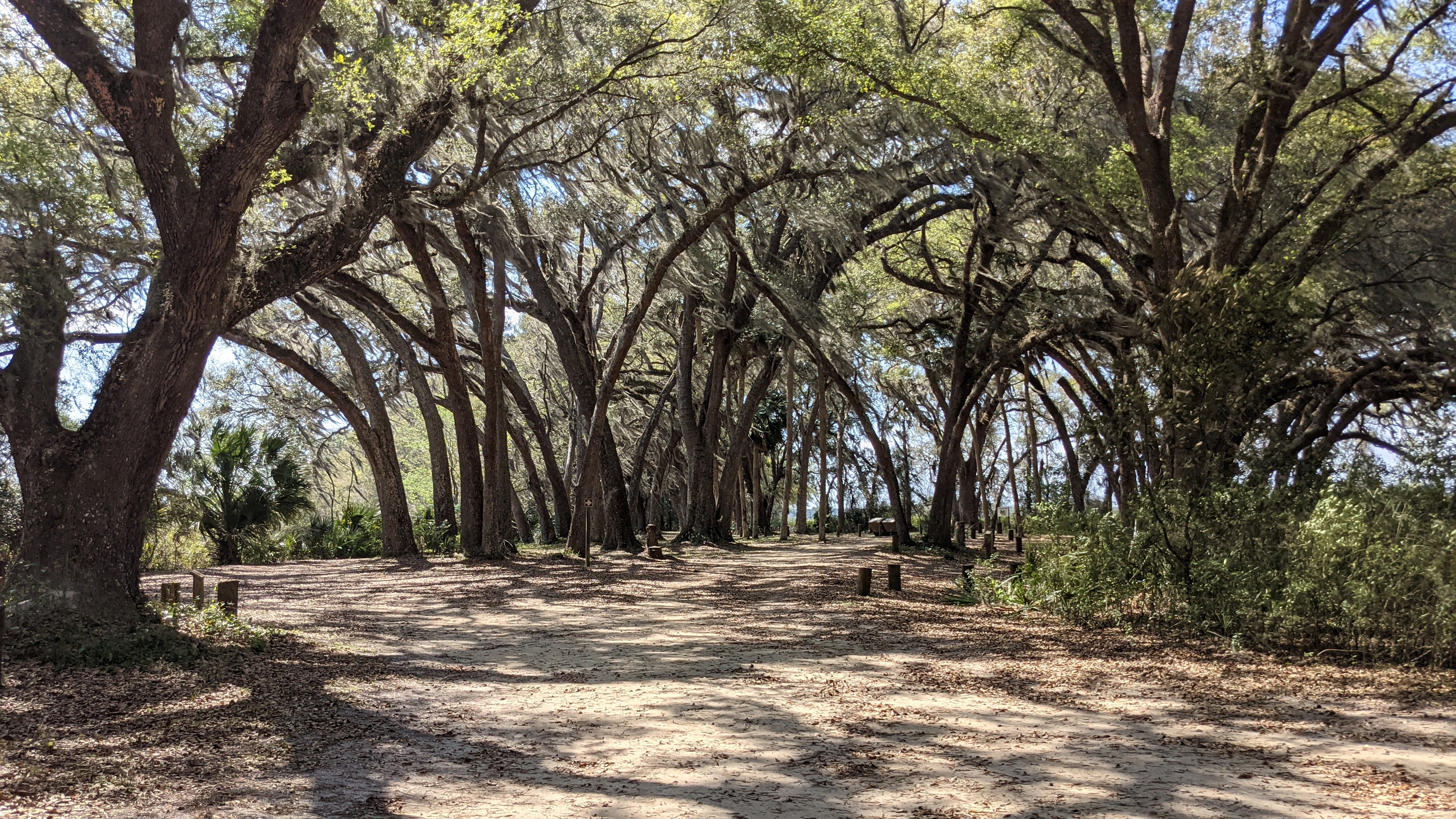 Hopkins Prairie Campground
