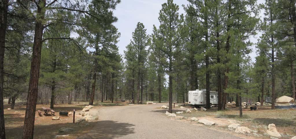 Photo of Ten-X Campground