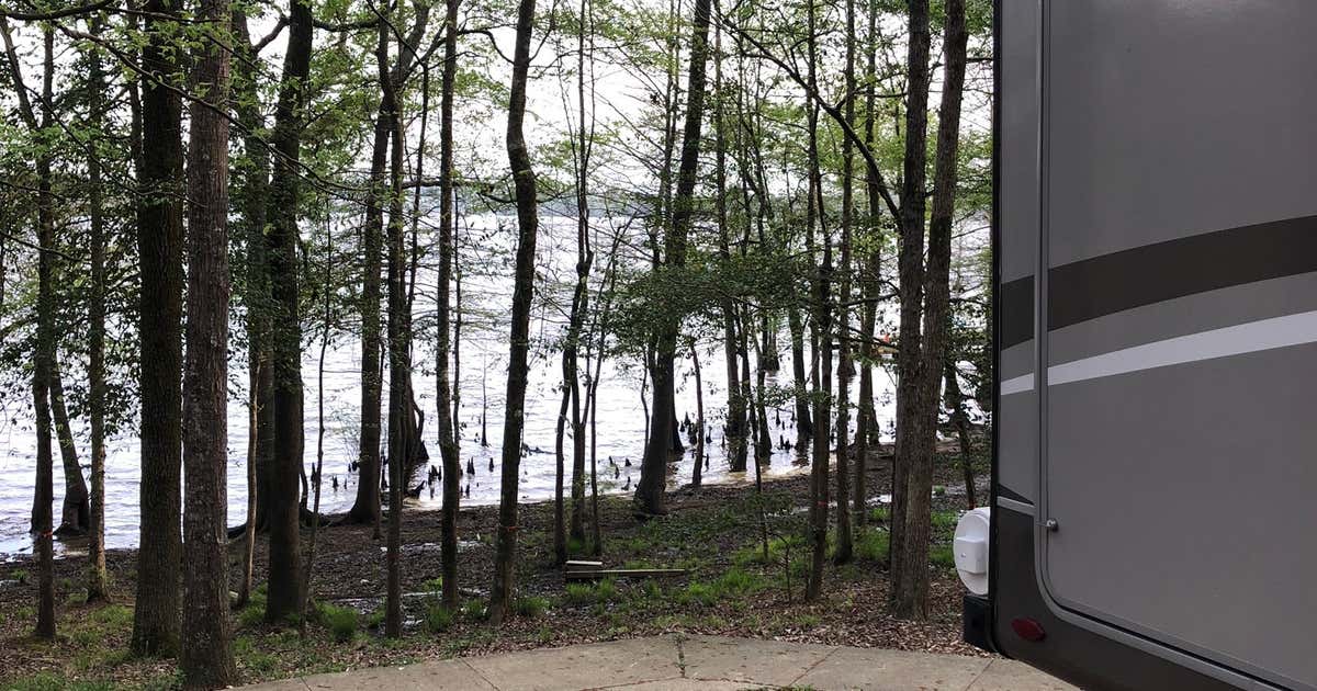 Lake D'Arbonne State Park, Bernice Roadtrippers