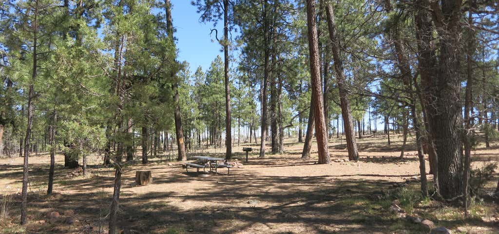 Escape to the Desert Oasis: Valentine Ridge Campground, Arizona