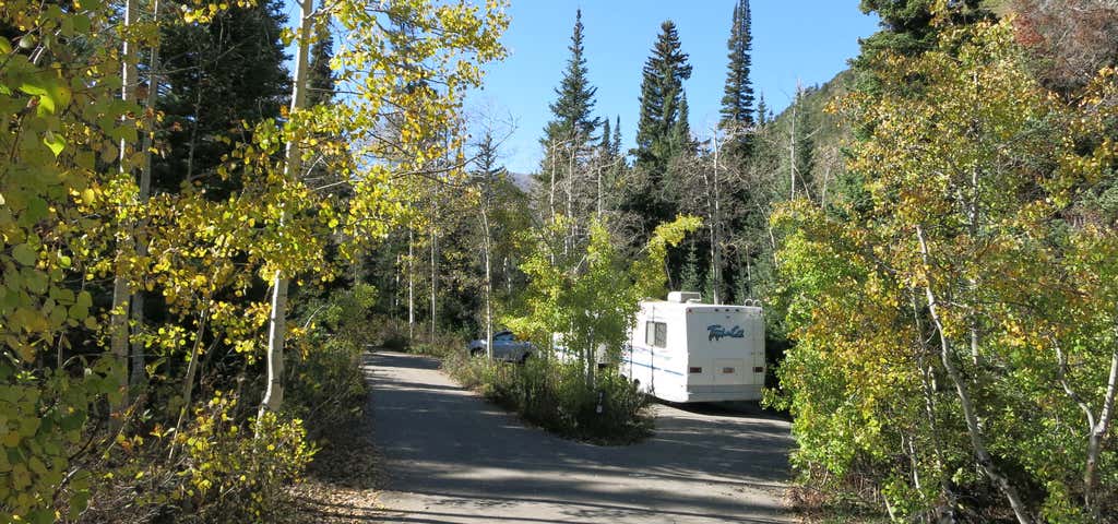Photo of Spruces Campground