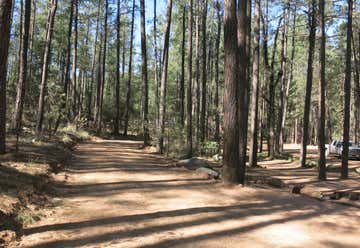 Photo of Upper Tonto Creek Campground