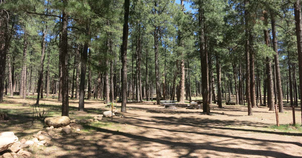 Escape To Serenity: Arizona’s Upper Canyon Creek Campground