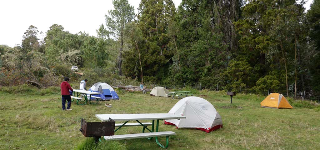 Photo of Hosmer Grove Campground