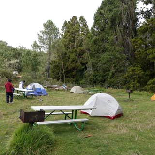 Hosmer Grove Campground