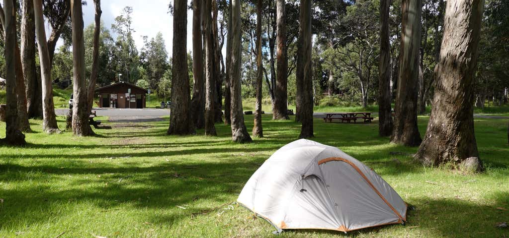 Photo of Namakanipaio Campground