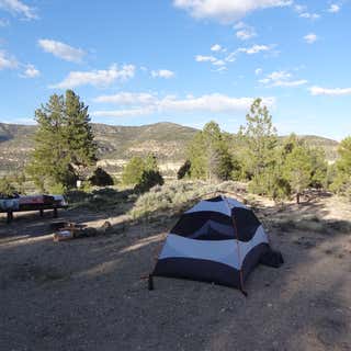 Joes Valley Campground
