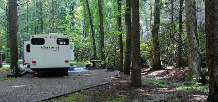 Photo of Vogel State Park Campground