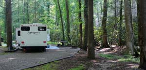 Vogel State Park Campground