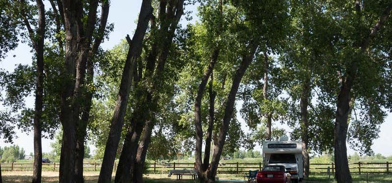 Photo of St. Vrain State Park Campground