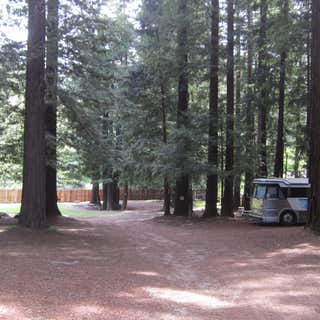 Redwood Resort RV Park & Campground
