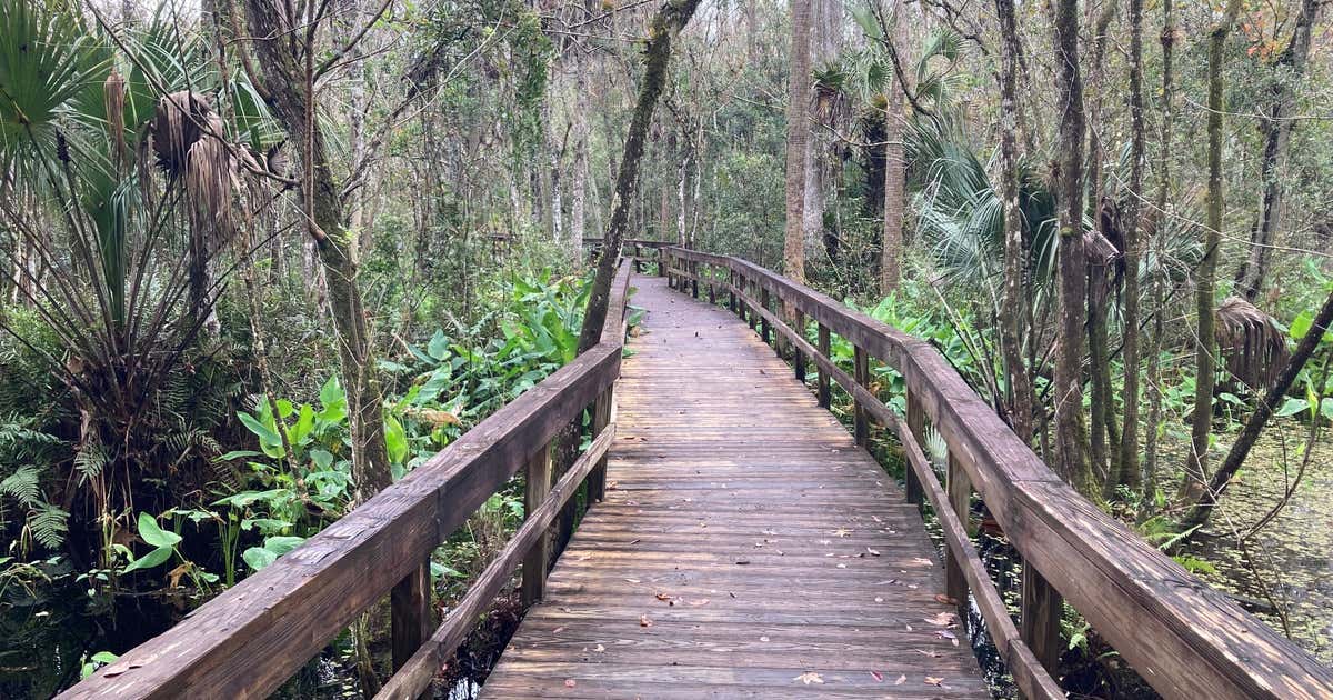 Highlands Hammock State Park Campground, Sebring Roadtrippers