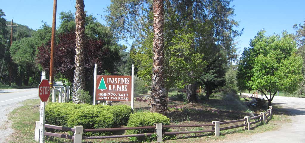 Photo of Uvas Pines RV Park