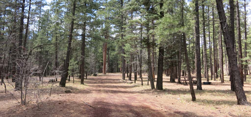 Photo of Dairy Springs Campground