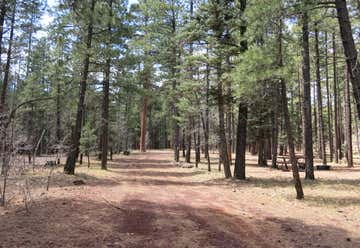 Photo of Dairy Springs Campground