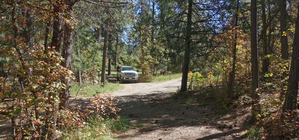 Photo of Bosque Campground