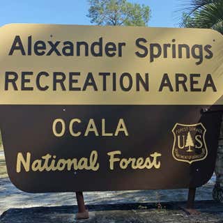 Alexander Springs Campground