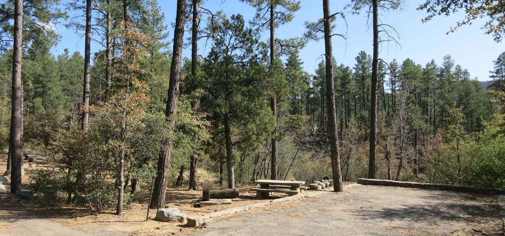 Photo of Lower Wolf Creek Campground