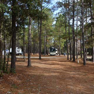 Yogi Bearâs Jellystone Parkâ Camp-Resort: Alabama Gulf Coast