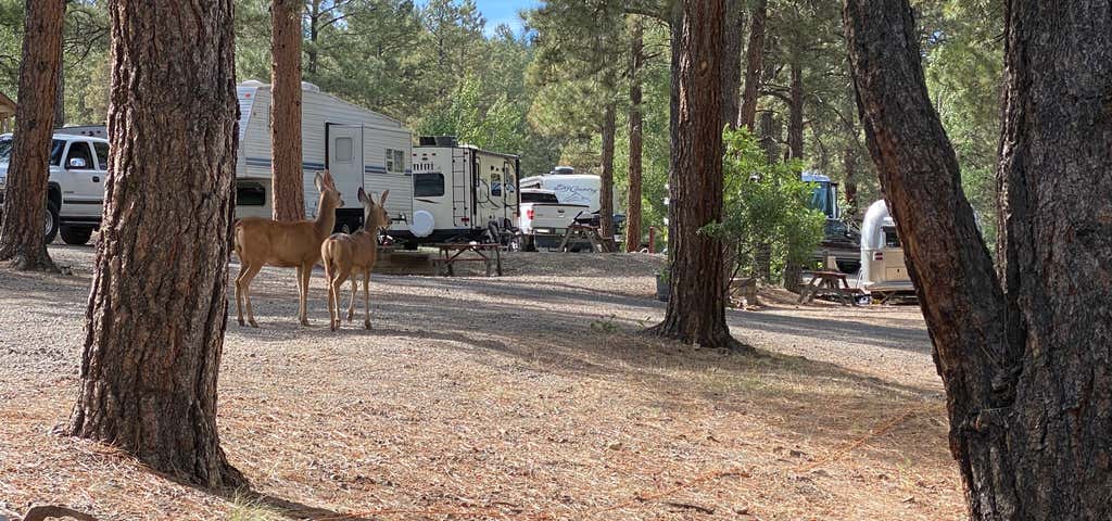 Photo of Cool Pines RV Park