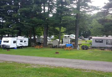 Photo of Buttercup Woodlands Campground