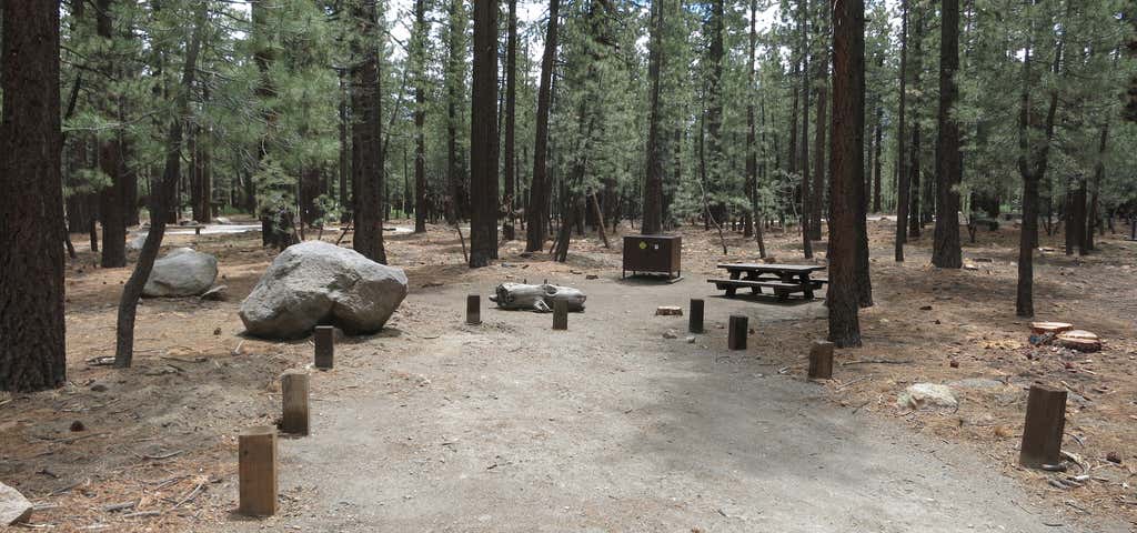 Photo of Old Shady Rest Campground