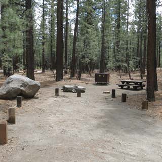 Old Shady Rest Campground