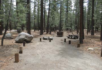 Photo of Shady Rest Campground