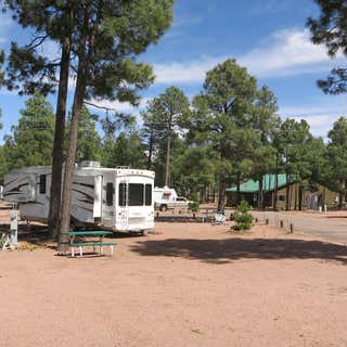 Elk Pines 55+ RV Resort