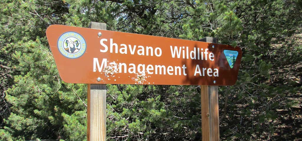 Photo of Shavano Wildlife Management Area Dispersed Camping
